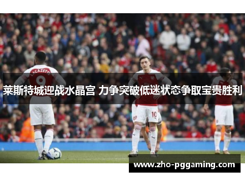 莱斯特城迎战水晶宫 力争突破低迷状态争取宝贵胜利