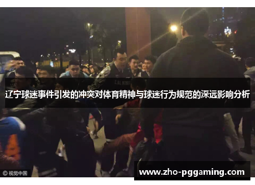 辽宁球迷事件引发的冲突对体育精神与球迷行为规范的深远影响分析
